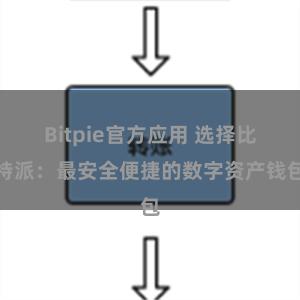 Bitpie官方应用 选择比特派：最安全便捷的数字资产钱包