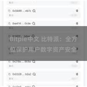 Bitpie中文 比特派：全方位保护用户数字资产安全