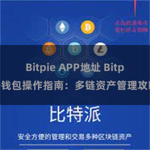 Bitpie APP地址 Bitpie钱包操作指南：多链资产管理攻略