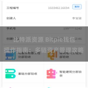 比特派资源 Bitpie钱包操作指南：多链资产管理攻略