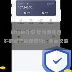 Bitpie升级 比特派钱包多链资产管理技巧：全面攻略