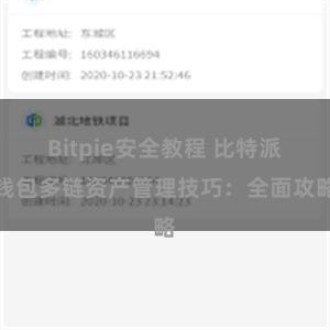 Bitpie安全教程 比特派钱包多链资产管理技巧：全面攻略