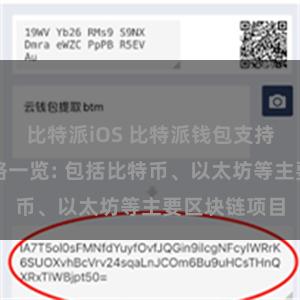 比特派iOS 比特派钱包支持的区块链网络一览: 包括比特币、以太坊等主要区块链项目