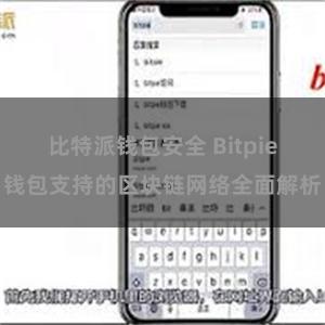 比特派钱包安全 Bitpie钱包支持的区块链网络全面解析