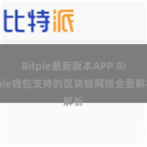 Bitpie最新版本APP Bitpie钱包支持的区块链网络全面解析