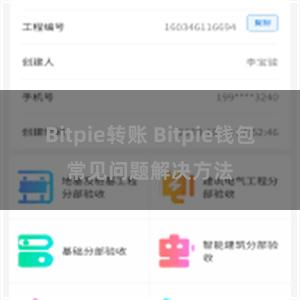 Bitpie转账 Bitpie钱包常见问题解决方法