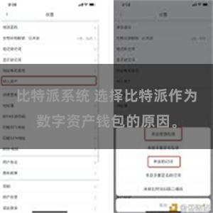 比特派系统 选择比特派作为数字资产钱包的原因。