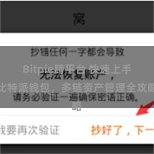 Bitpie跨平台 快速上手比特派钱包，多链资产管理全攻略