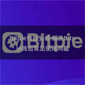 Bitpie钱包安装 解决Bitpie钱包常见使用问题