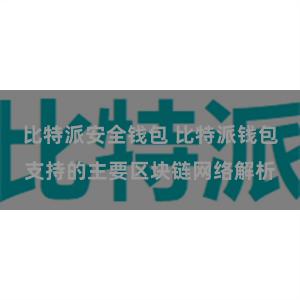 比特派安全钱包 比特派钱包支持的主要区块链网络解析