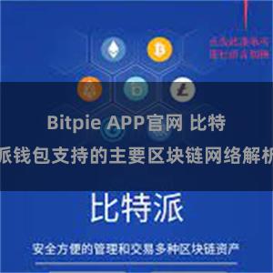 Bitpie APP官网 比特派钱包支持的主要区块链网络解析