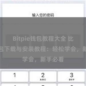 Bitpie钱包教程大全 比特派钱包下载与安装教程：轻松学会，新手必看