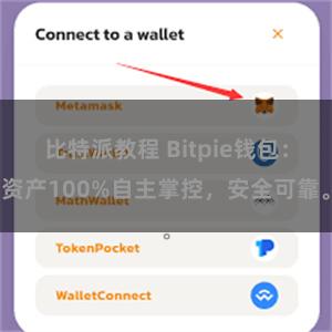 比特派教程 Bitpie钱包：资产100%自主掌控，安全可靠。