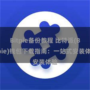 Bitpie备份教程 比特派(Bitpie)钱包下载指南：一站式安装体验