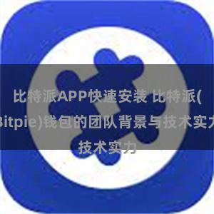 比特派APP快速安装 比特派(Bitpie)钱包的团队背景与技术实力