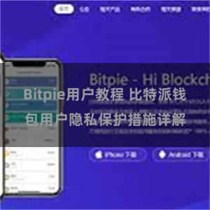 Bitpie用户教程 比特派钱包用户隐私保护措施详解