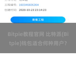 Bitpie教程官网 比特派(Bitpie)钱包适合何种用户？