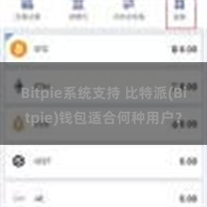 Bitpie系统支持 比特派(Bitpie)钱包适合何种用户？