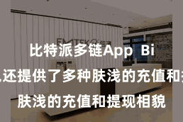 比特派多链App  Bitpie钱包还提供了多种肤浅的充值和提现相貌