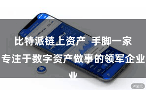 比特派链上资产  手脚一家专注于数字资产做事的领军企业