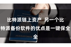 比特派链上资产  另一个比特派备份软件的优点是一键保全