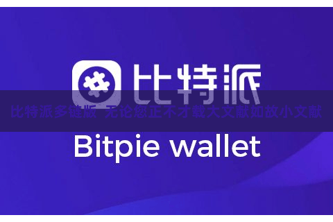 比特派多链版  无论您正不才载大文献如故小文献