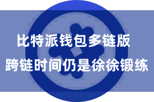 比特派钱包多链版  跨链时间仍是徐徐锻练